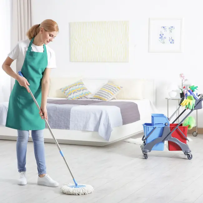 Viva Clean